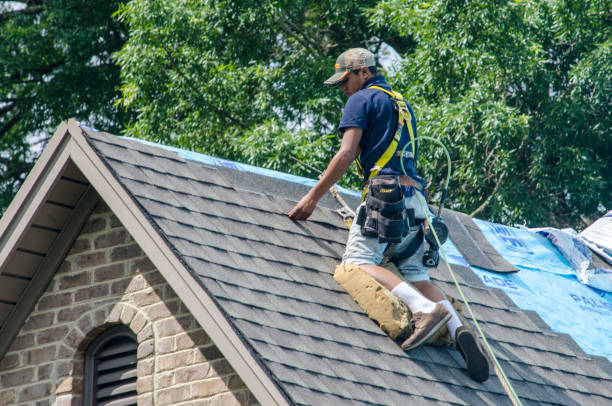 Roof Gutter Cleaning in Montour Falls, NY